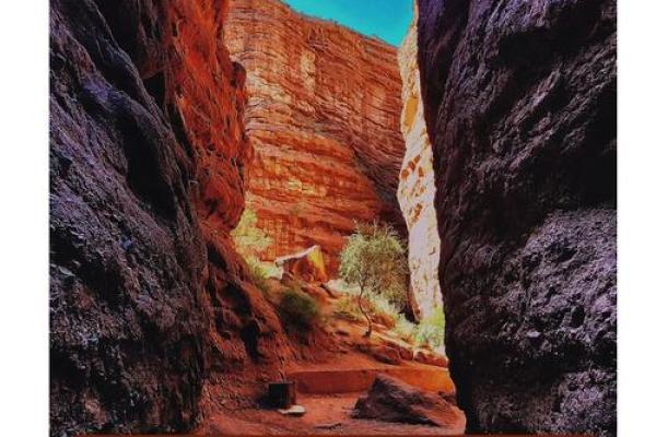 探寻木命之子:与生相连的命运之路 探寻木命之子:与生相连的命运之路