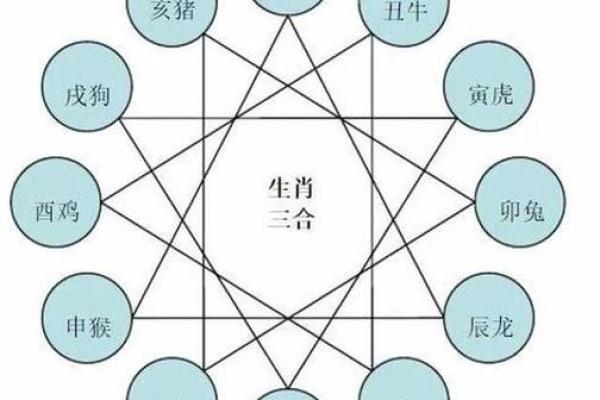 69年出生者的生肖与命运揭秘：你属什么，运势如何？