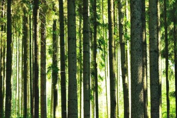 19980302：探索你的命格与生活的秘密