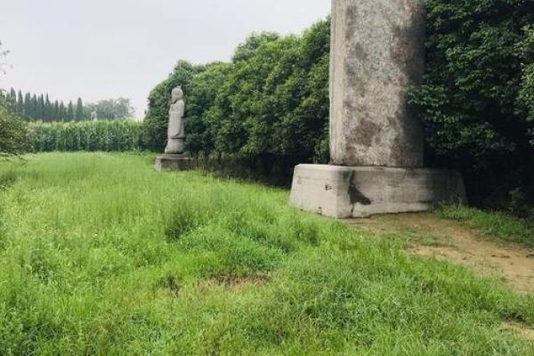 探寻木命之子:与生相连的命运之路 探寻木命之子:与生相连的命运之路