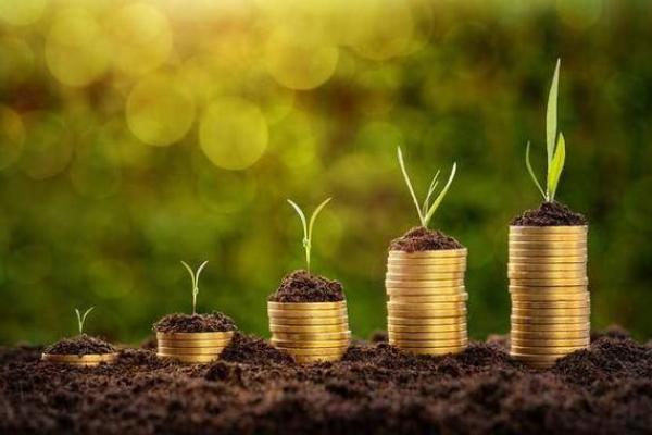 托财命是什么生肖女命,谁最适合?解读生肖与财富的关系 托财命是什么生肖女命,谁最适合?解读生肖与财富的关系