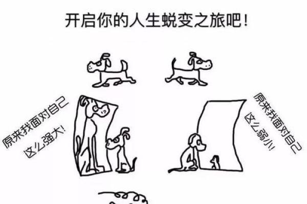 探索19900330的命理奥秘：命运与人生的深度解析