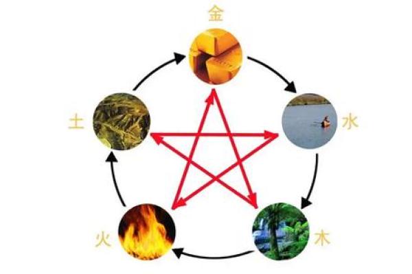 金命人木命人的命理解析与生活智慧