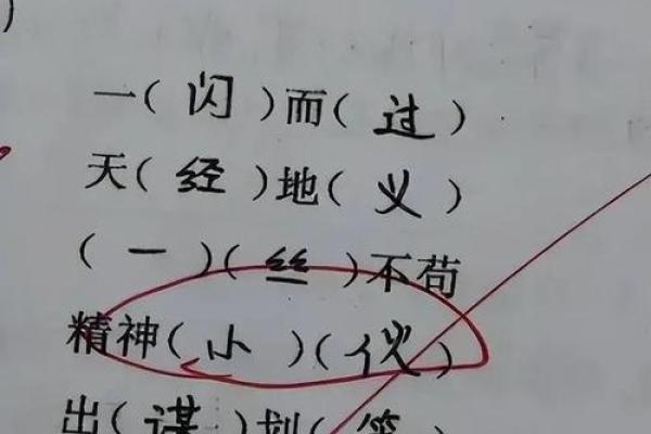 “命都给你”是什么梗？探寻网络流行语背后的深意与幽默