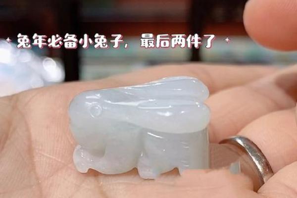 2023年属兔之人：兔年命运如何，生活新机遇探讨！