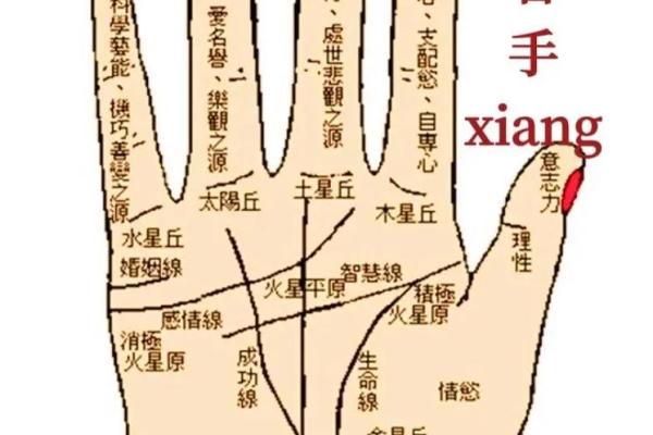 命里带什么好运：探秘命运的秘密与幸运的符号