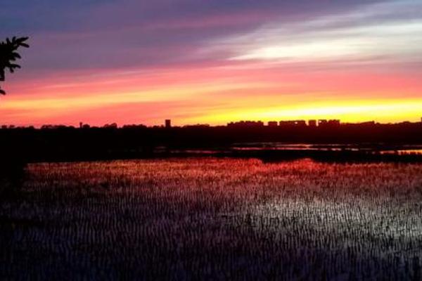 19900808八字解析:命理中的潜能与福祉之路 19900808八字解析:命理中的潜能与福祉之路