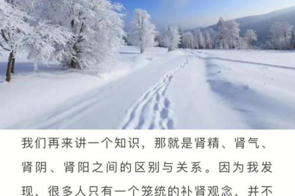 19960206出生的人：命运与性格的深度解析