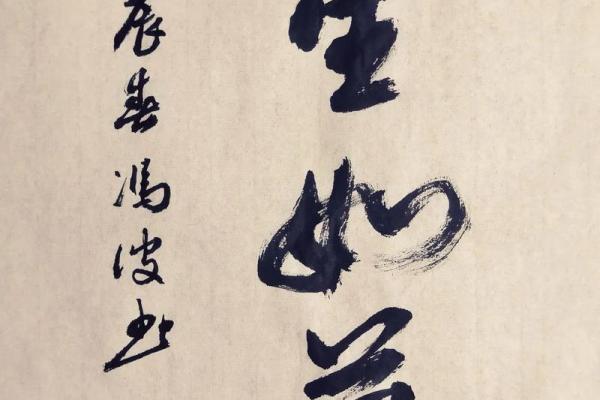 命运与事业：从成语“造命”看人生的转变历程