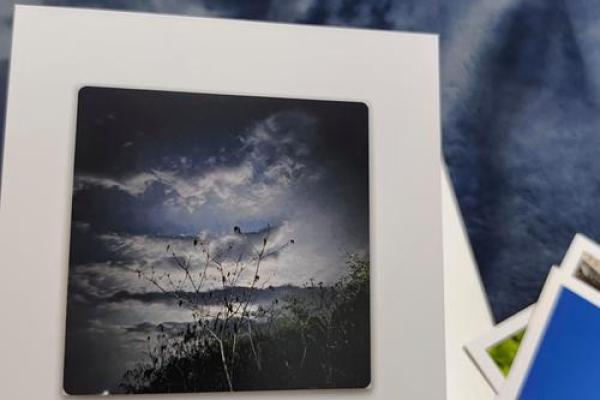 星辰命与行业选择：如何找到适合你的职业道路