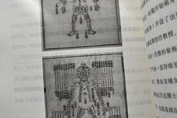 修命之命:探索人生的宿命与自我改造之道 修命之命:探索人生的宿命与自我改造之道