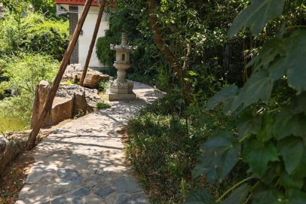 三两命的魅力与挑战，揭示命运的独特密码