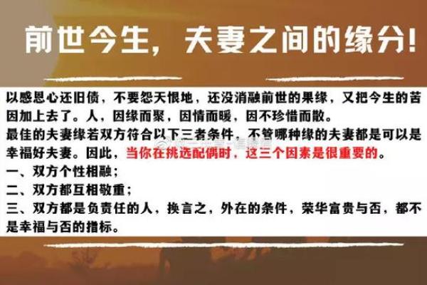 命运与缘分交织的旋律——探讨《缘是命 命是缘》的深意