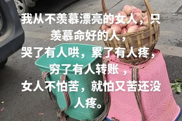 人与命：不屈服于命运的坚持与勇气