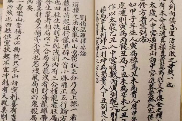 甲子年命理解析：揭示你的命运之门与五行智慧