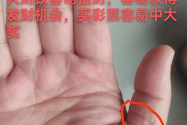 透视女人掌纹：揭秘命运与人生的秘密