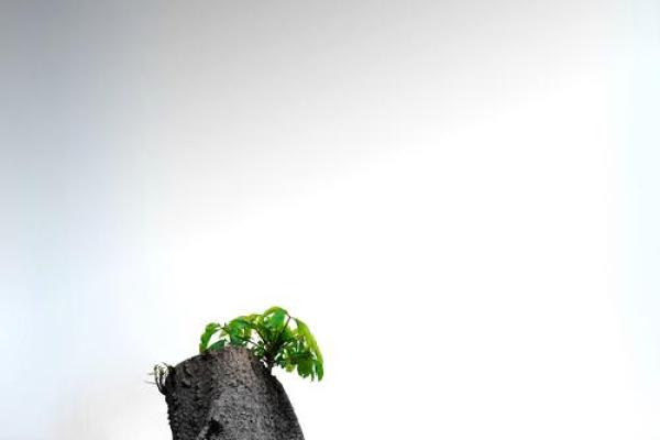 1978年出生不是命中的幸运，而是命运的挑战与机遇