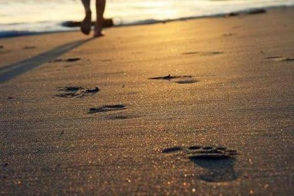 19951112出生的人生轨迹与性格剖析