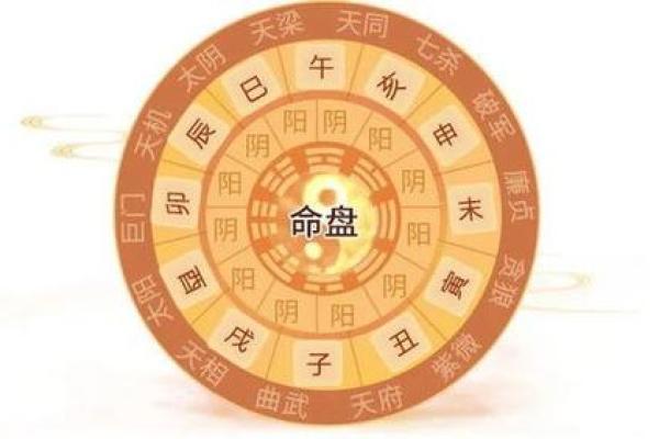 2019子时出生的命运解析：命理与人生之路的深度探讨
