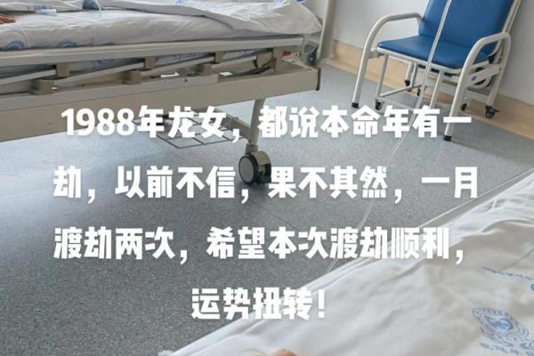 1964年出生的命婚姻运势分析:幸福与挑战并存 1964年出生的命婚姻运势分析:幸福与挑战并存