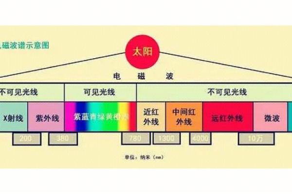 探索20030903命理:你的出生日期揭示的秘密与潜力 探索20030903命理:你的出生日期揭示的秘密与潜力
