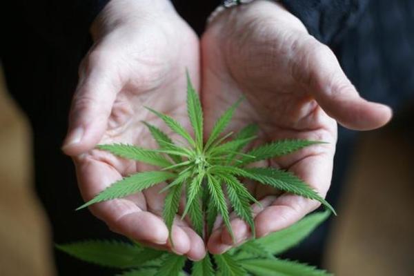 驱邪命格解析:哪种命格最强大,帮你抵御邪祟侵扰 驱邪命格解析:哪种命格最强大,帮你抵御邪祟侵扰