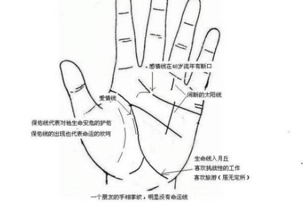 解码女性左手横纹：你命运的秘密之线