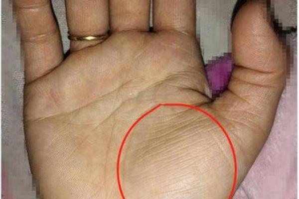 解码女性左手横纹：你命运的秘密之线