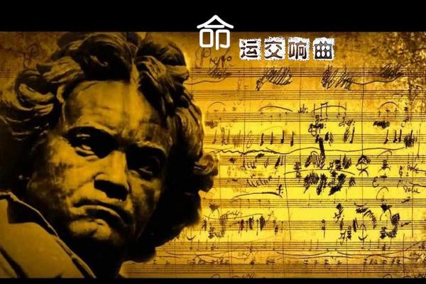 1992年出生的女性命运解析:智慧与机遇的交响曲 1992年出生的女性命运解析:智慧与机遇的交响曲