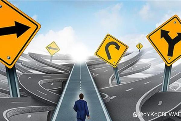 以命运为导向,适合你的职业路径选择指南 以命运为导向,适合你的职业路径选择指南