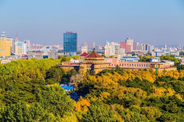 属蛇木命与最佳配对命理探寻之旅 属蛇木命与最佳配对命理探寻之旅