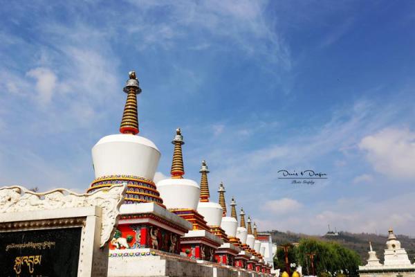 属蛇木命与最佳配对命理探寻之旅 属蛇木命与最佳配对命理探寻之旅