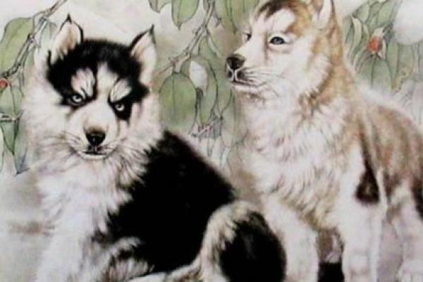 2018狗年出生女命解析:性格特点与生活运势探讨 2018狗年出生女命解析:性格特点与生活运势探讨