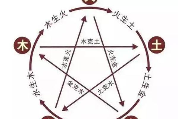 金命与木命的财运结合:如何通过五行提升财富运势 金命与木命的财运结合:如何通过五行提升财富运势