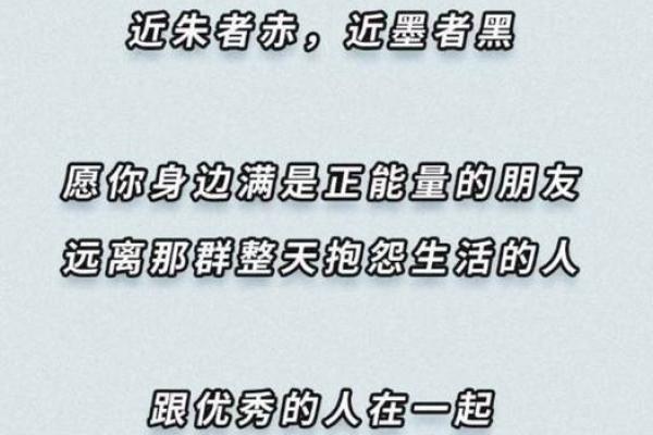 2019年水命的运势解析：如何顺势而为，提升生活质量