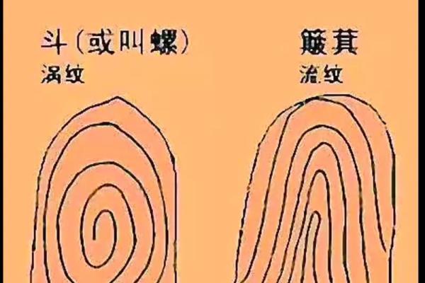 揭示男人手纹的秘密：好运气的指引与人生的启示