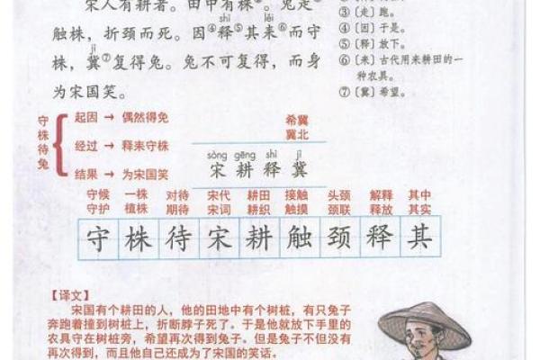 1975兔命:探索兔年出生的命理特征与人生智慧 1975兔命:探索兔年出生的命理特征与人生智慧