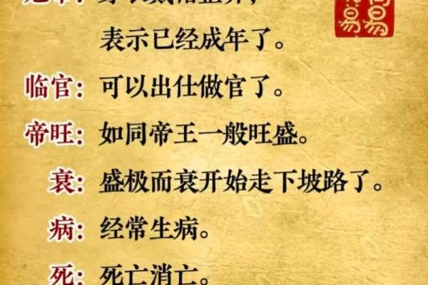 五两的男命：命理解析与人生智慧