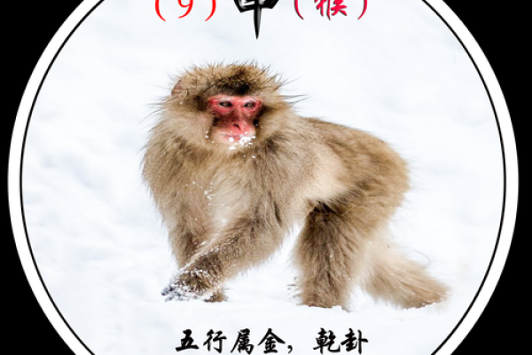 解密2005猴年：影响你命运的生肖与五行之谜