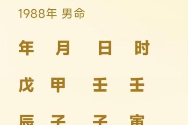 2023年：解密15羊年命理与人生智慧