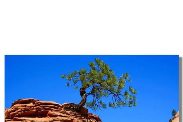 命运的转机：改变命运的秘笈与方法