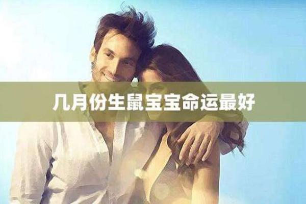 十二月鼠命解析：探秘鼠年出生的人的命运与性格特征