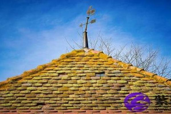 大驿土命与财运：财富聚集的不可思议之路