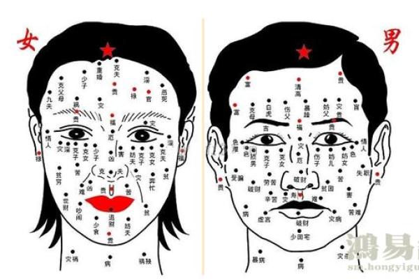 19910122：命运的数字背后，解密个人的命理之旅