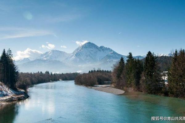 命理与养鱼的禁忌：识破风水中的玄机，水中鱼儿畅游的秘密！