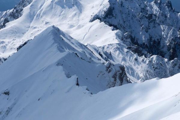 光棍命中的独特魅力与生活哲学探讨 光棍命中的独特魅力与生活哲学探讨