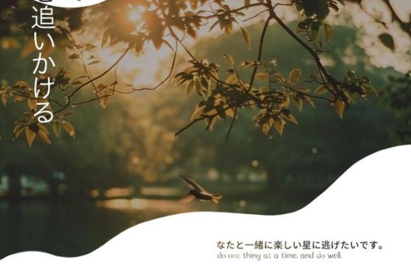 皆为命又不是命，探寻人生的意义与选择