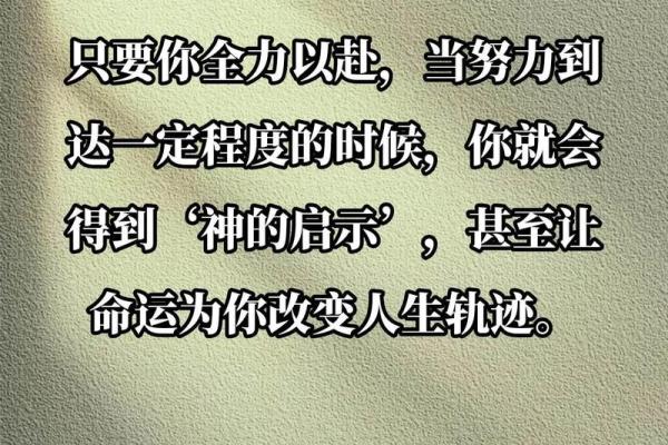 1991年3月15日出生的命运解析与人生轨迹