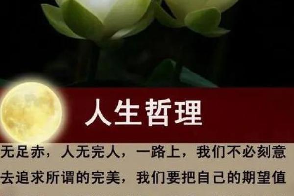 命什么说什么艳,成语背后的智慧与人生启示 命什么说什么艳,成语背后的智慧与人生启示