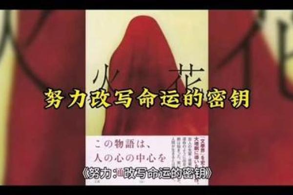 探秘20031128的命运密码,揭示人生潜能与努力的秘钥! 探秘20031128的命运密码,揭示人生潜能与努力的秘钥!